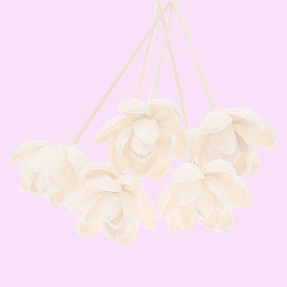 5PCS Flower Diffuser Stick, Wood Chinese Rose Flower Rattan Reed, Rattan Rose Diffuser Stick, No Fire Aroma Diffuser Tool, Essential Oil Aroma Diffuser Flower Stick