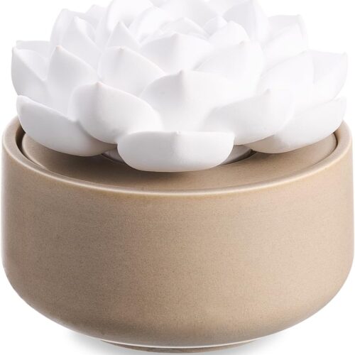 Ceramic Flower Water Absorbing Aroma Stone